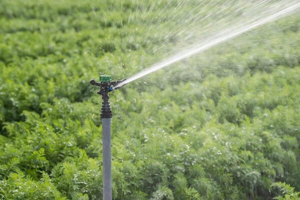 Sprinkler irrigation – Impact sprinkler